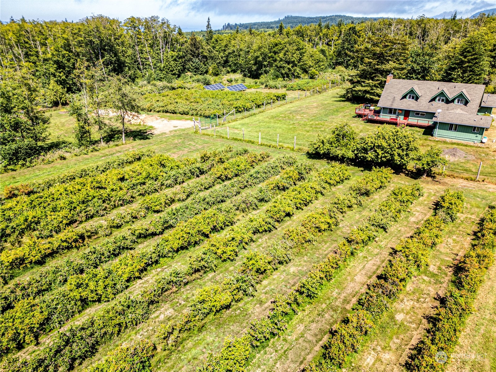 173 Lewallen Road Port Angeles, WA 98363 - Photo 38 of 40 Gallery Image 38