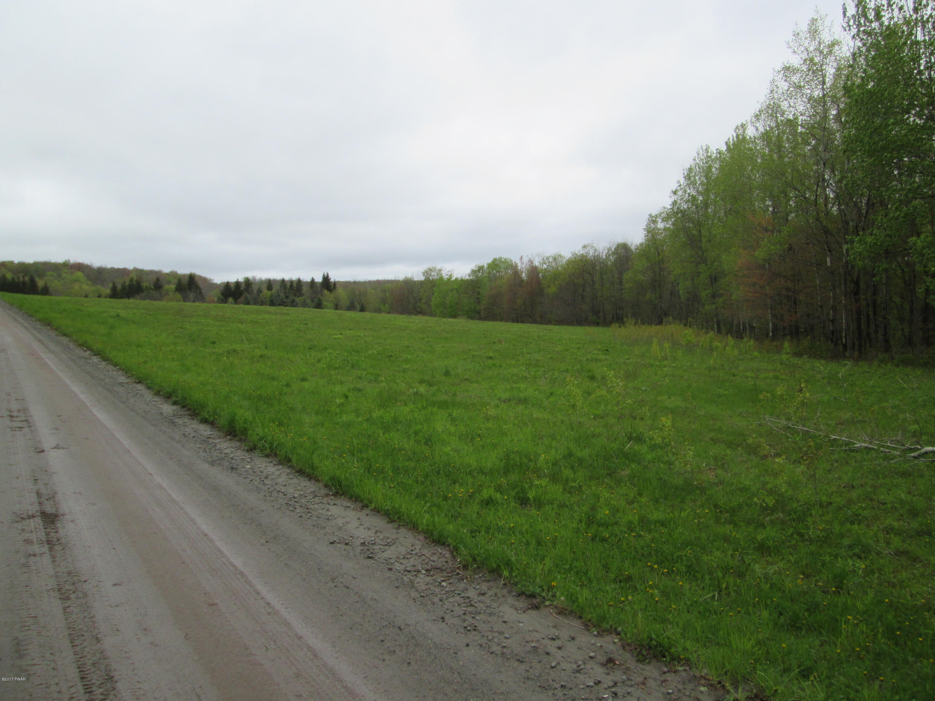 86 Beaver Hollow Road Lakewood, PA 18439 - Photo 18 of 30 a view of a field with grass and trees