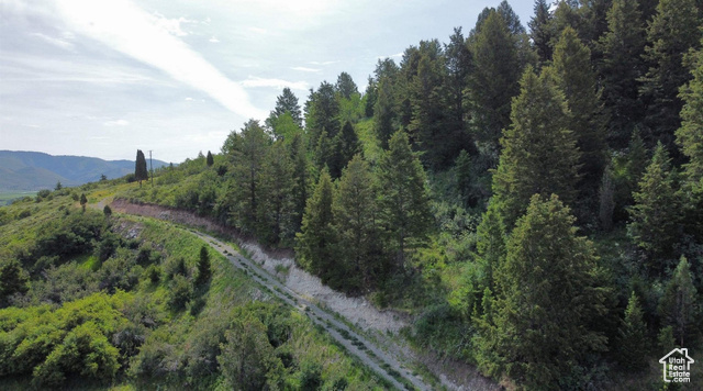 3111 Caribou Road Soda Springs, ID 83276 - Photo 3 of 11 View of property location featuring a mountain backdrop