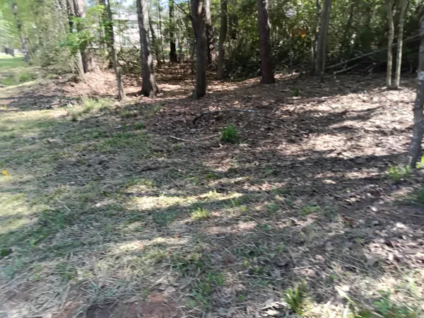 a view of outdoor space with trees