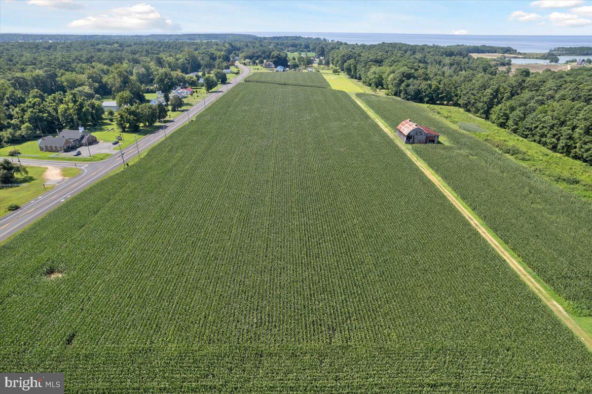 49430 Harry James Road Ridge, MD 20680 - Photo 9 of 11 a view of a city from a balcony