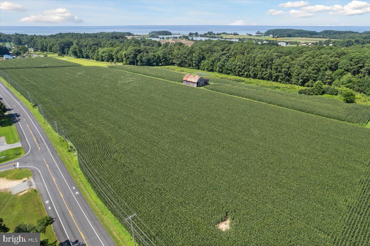 49430 Harry James Road Ridge, MD 20680 - Photo 10 of 11 a view of a field with an ocean
