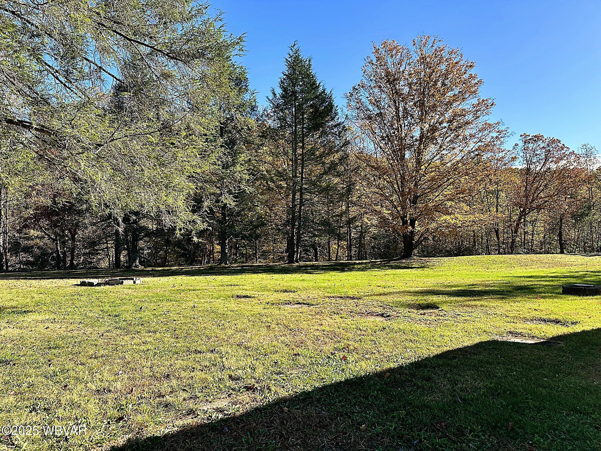 6553 Pleasant Valley Road Cogan Station, PA 17728 - Photo 5 of 27 Yard