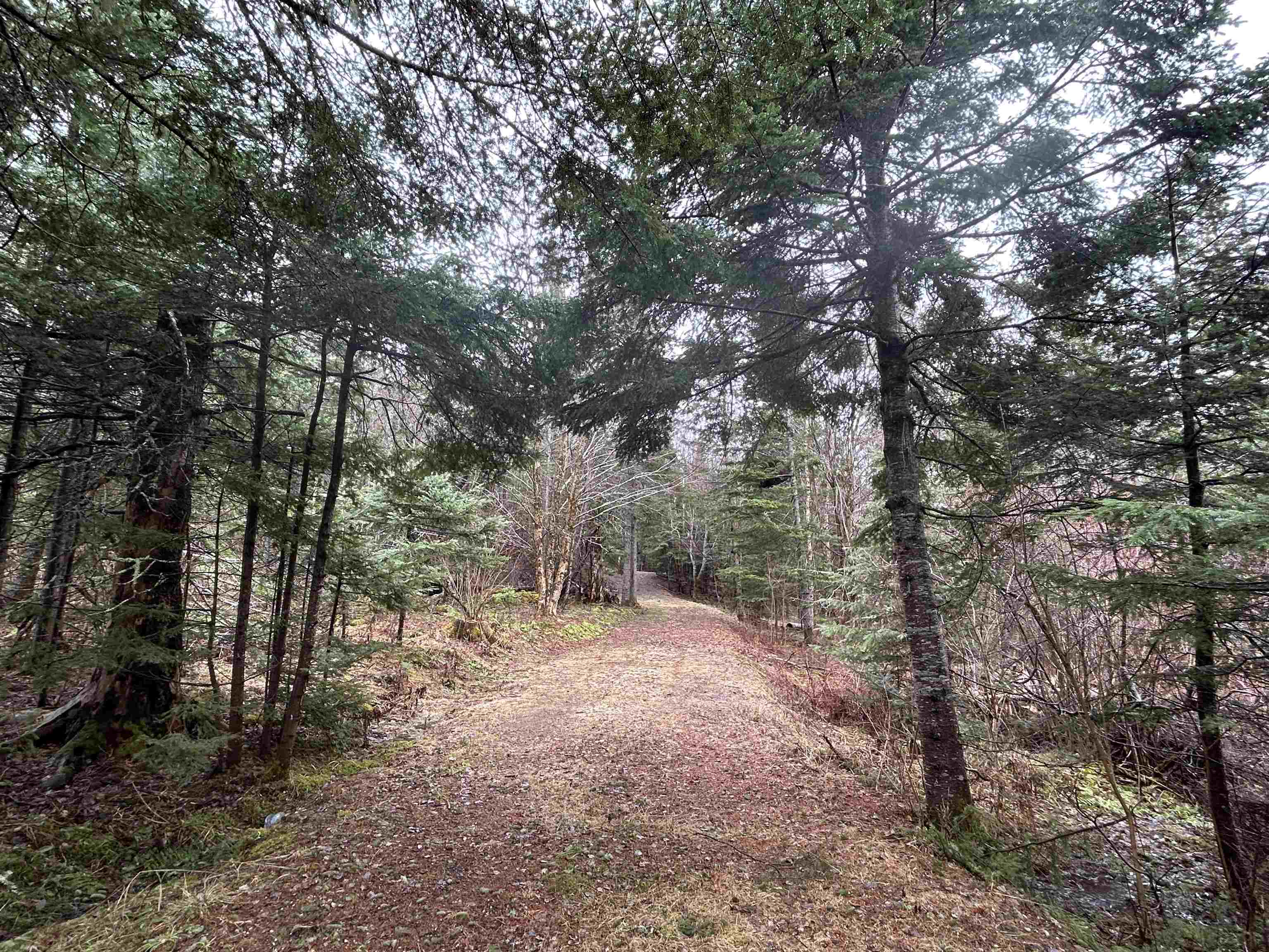 242 Noyes Road Stewartstown, NH 03576 - Photo 12 of 60