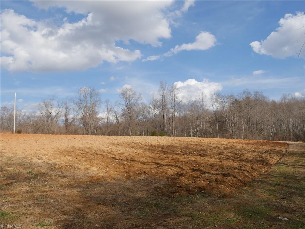 0 Ed Hawkins Road Sandy Ridge, NC 27046 - Photo 1 of 6