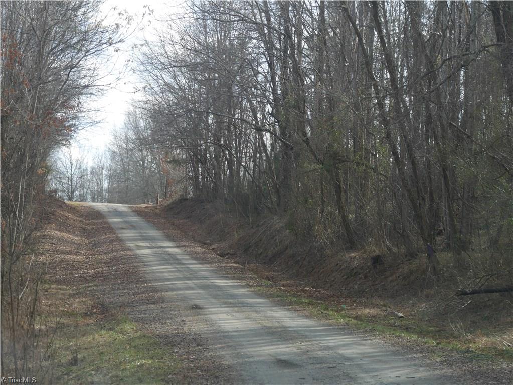 0 Ed Hawkins Road Sandy Ridge, NC 27046 - Photo 2 of 6