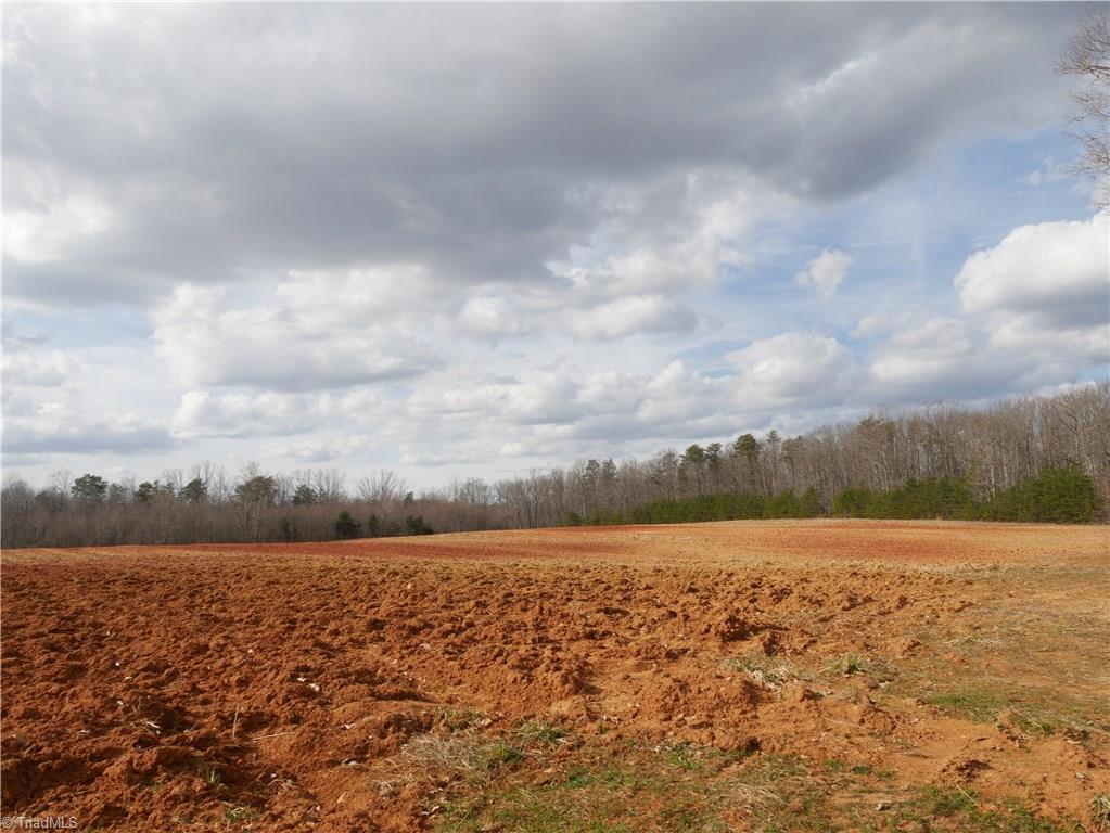 0 Ed Hawkins Road Sandy Ridge, NC 27046 - Photo 4 of 6
