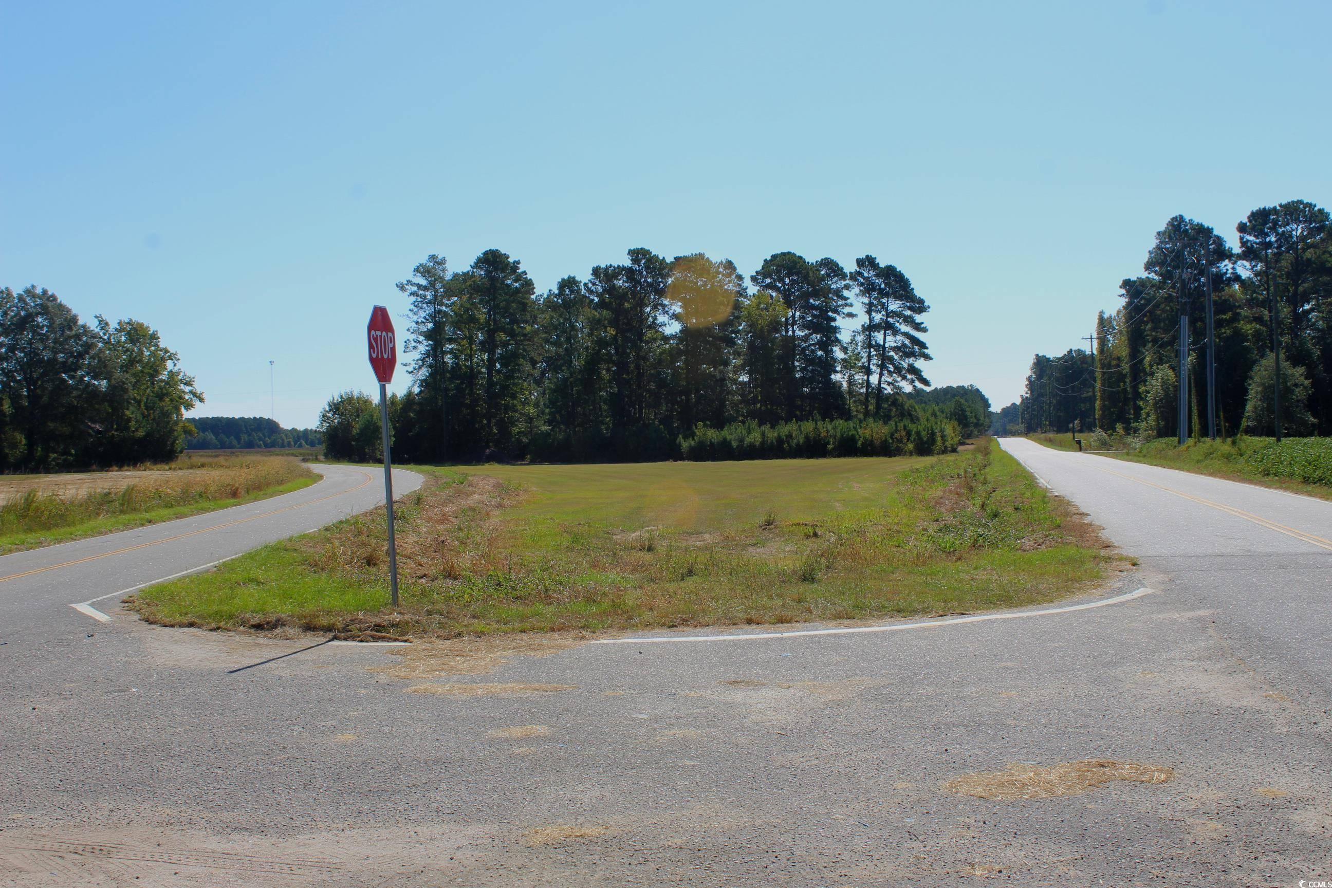 1-tbd Dew Rd 1-tbd Dew Road Marion, SC 29571 - Photo 11 of 29 View of asphalt road featuring traffic signs
