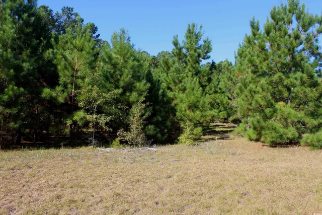 $195,000 | 1-tbd Dew Rd 1-tbd Dew Road, Marion, SC 29571