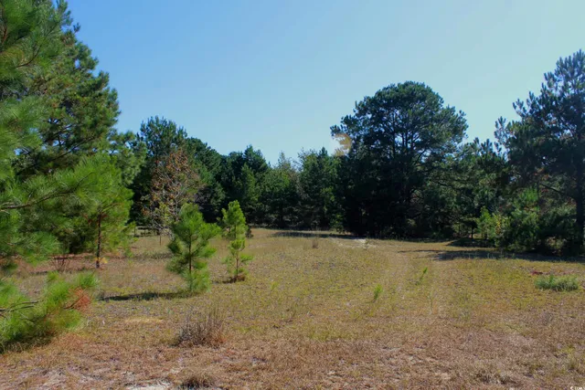 $195,000 | 1-tbd Dew Rd 1-tbd Dew Road, Marion, SC 29571