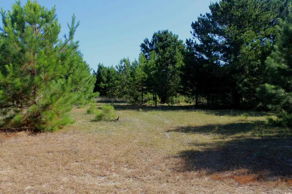 $195,000 | 1-tbd Dew Rd 1-tbd Dew Road, Marion, SC 29571