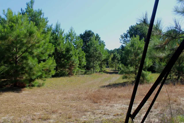 $195,000 | 1-tbd Dew Rd 1-tbd Dew Road, Marion, SC 29571