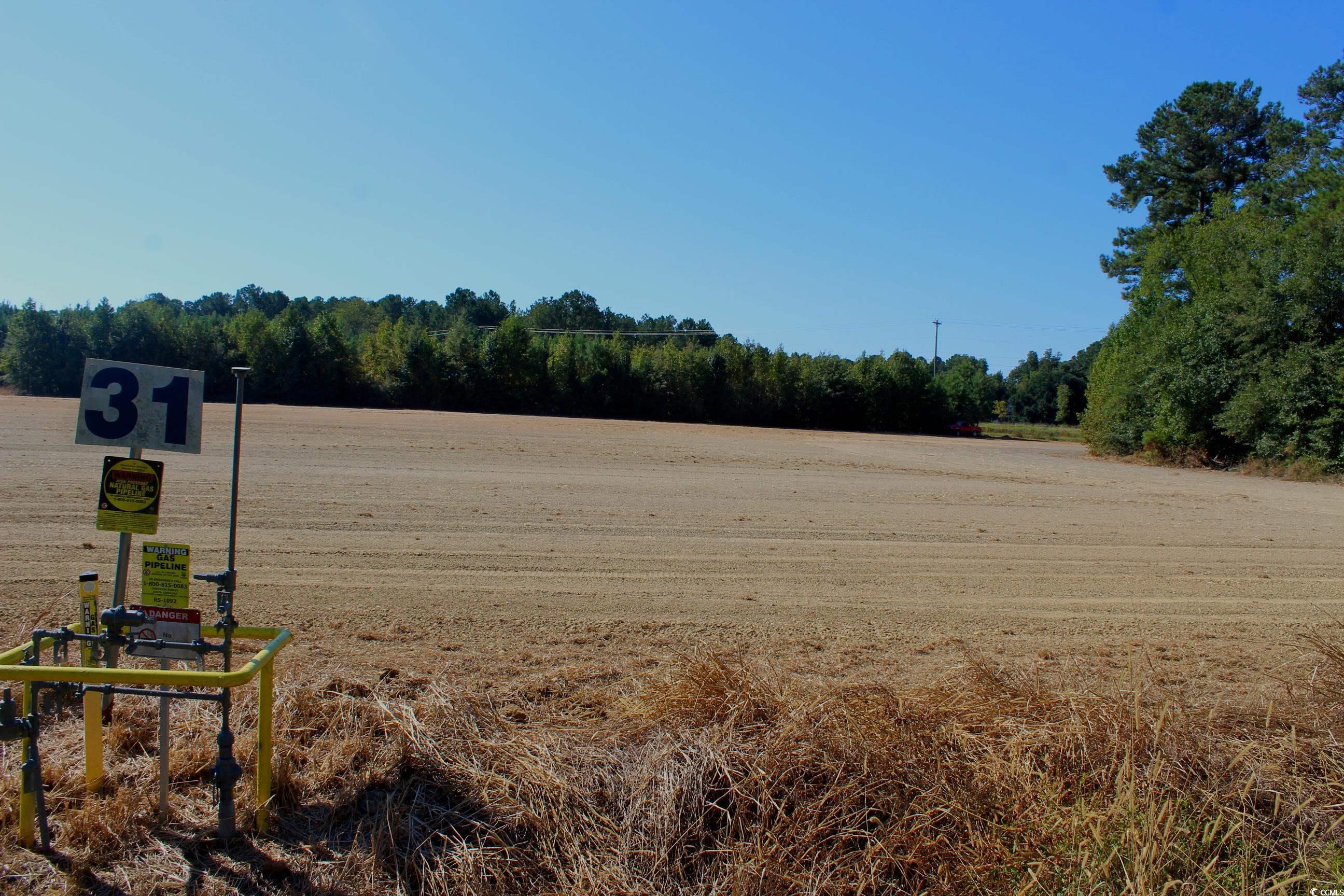 1-tbd Dew Rd 1-tbd Dew Road Marion, SC 29571 - Photo 19 of 29 View of yard with a view of rural / pastoral area