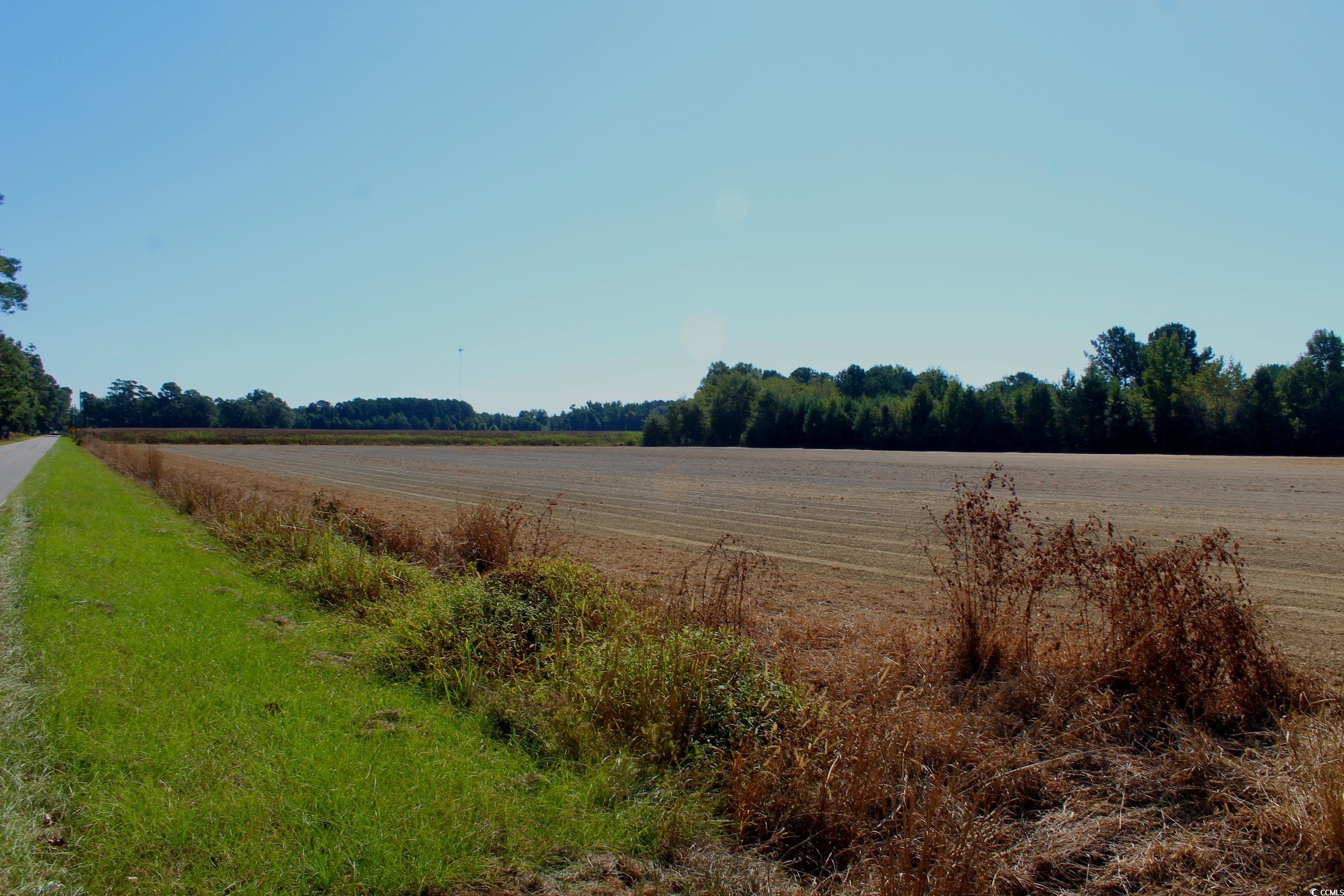 1-tbd Dew Rd 1-tbd Dew Road Marion, SC 29571 - Photo 20 of 29 View of yard featuring a view of countryside