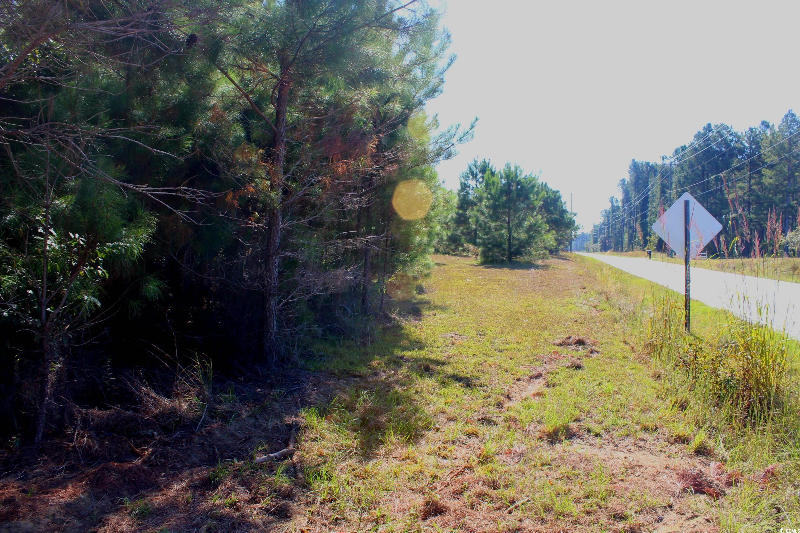 1-tbd Dew Rd 1-tbd Dew Road Marion, SC 29571 - Photo 2 of 29 View of yard