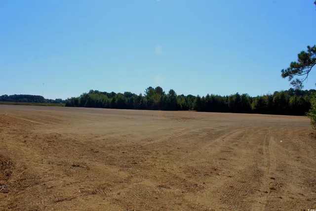 $195,000 | 1-tbd Dew Rd 1-tbd Dew Road, Marion, SC 29571