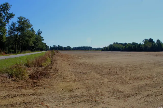 $195,000 | 1-tbd Dew Rd 1-tbd Dew Road, Marion, SC 29571