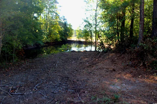 $195,000 | 1-tbd Dew Rd 1-tbd Dew Road, Marion, SC 29571