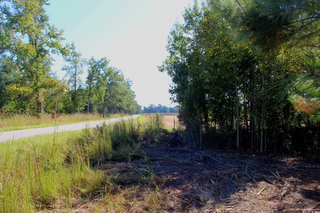 $195,000 | 1-tbd Dew Rd 1-tbd Dew Road, Marion, SC 29571