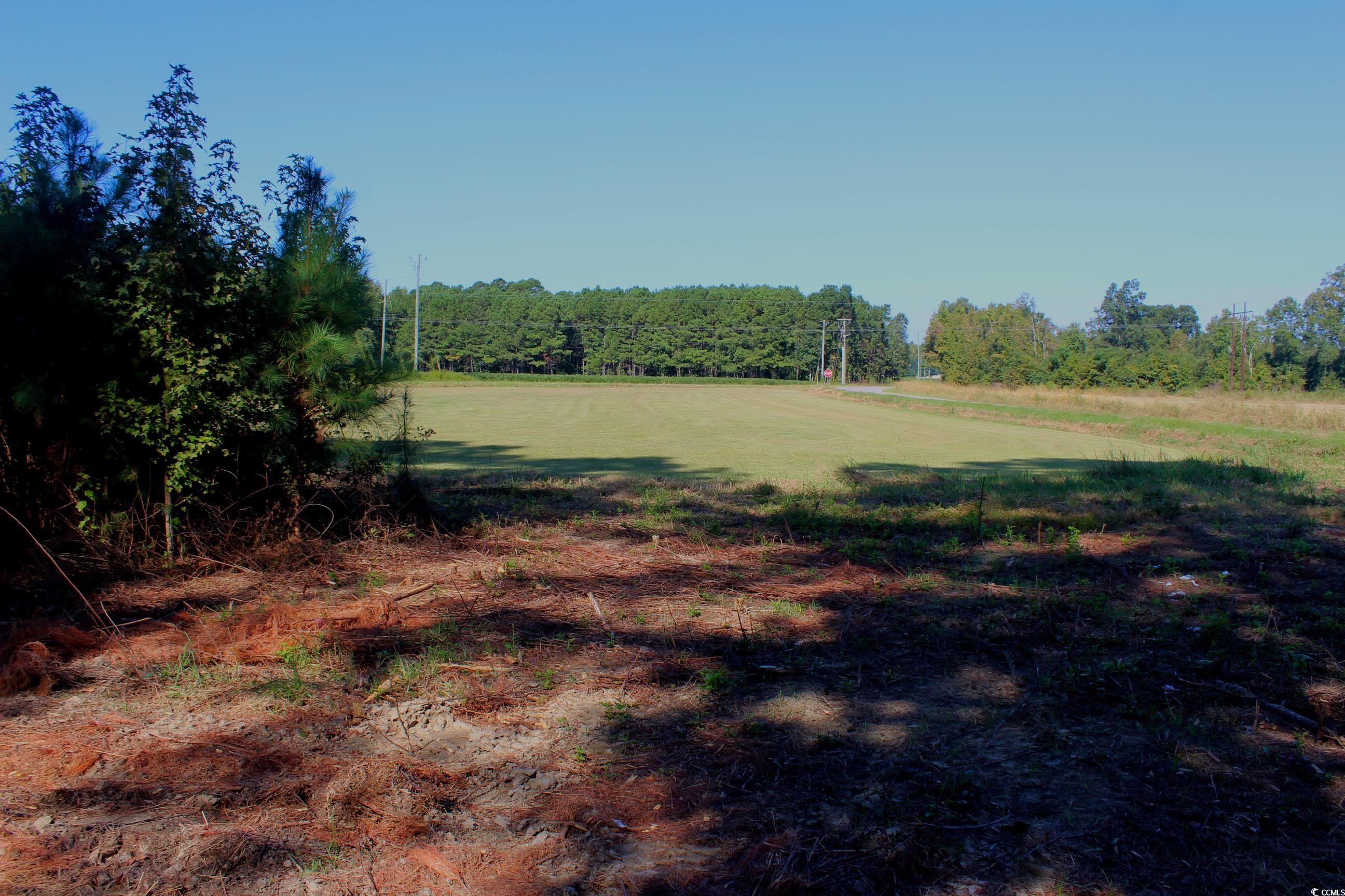 1-tbd Dew Rd 1-tbd Dew Road Marion, SC 29571 - Photo 27 of 29 View of yard with a wooded view and a view of rural / pastoral area