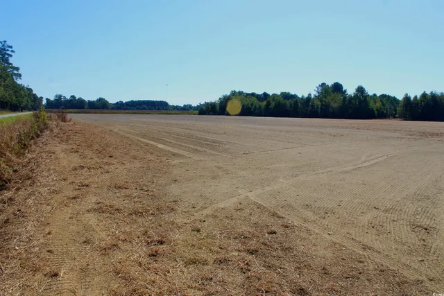$195,000 | 1-tbd Dew Rd 1-tbd Dew Road, Marion, SC 29571