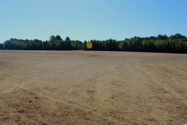 $195,000 | 1-tbd Dew Rd 1-tbd Dew Road, Marion, SC 29571