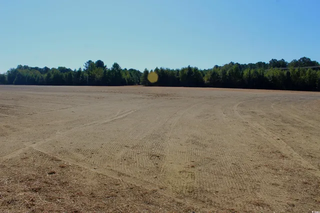 $195,000 | 1-tbd Dew Rd 1-tbd Dew Road, Marion, SC 29571