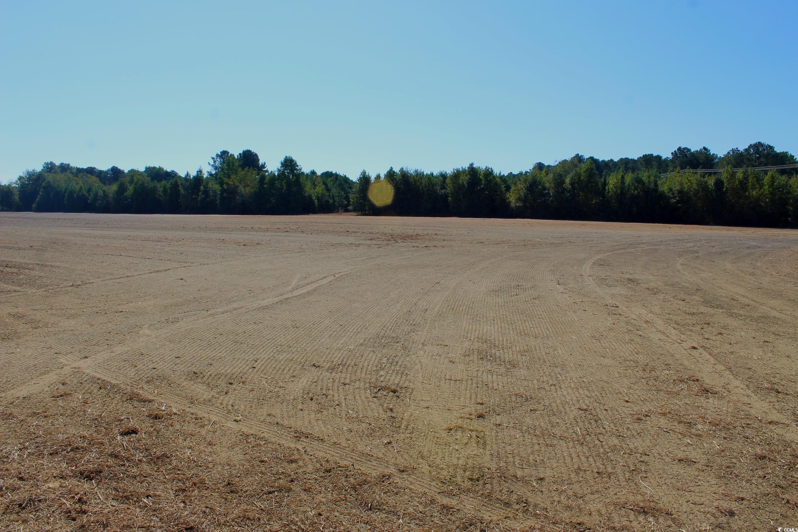 1-tbd Dew Rd 1-tbd Dew Road Marion, SC 29571 - Photo 4 of 29 View of undeveloped land with rural landscape