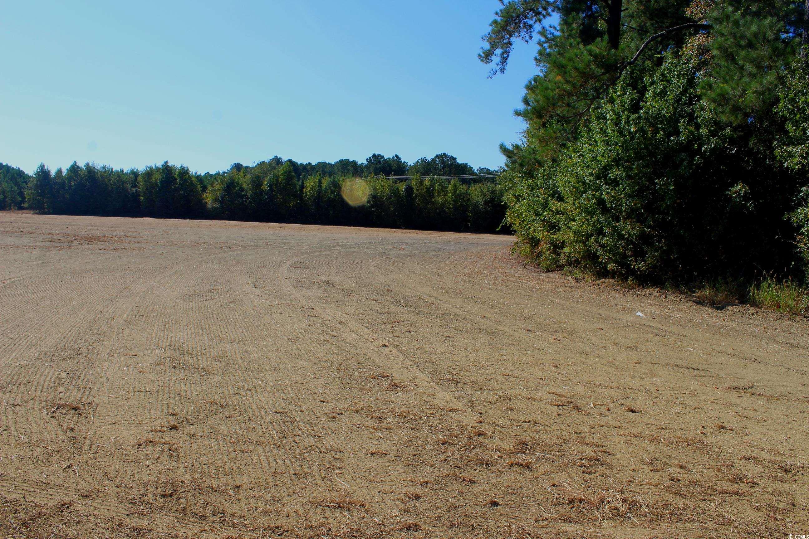 1-tbd Dew Rd 1-tbd Dew Road Marion, SC 29571 - Photo 5 of 29 View of undeveloped land featuring rural landscape