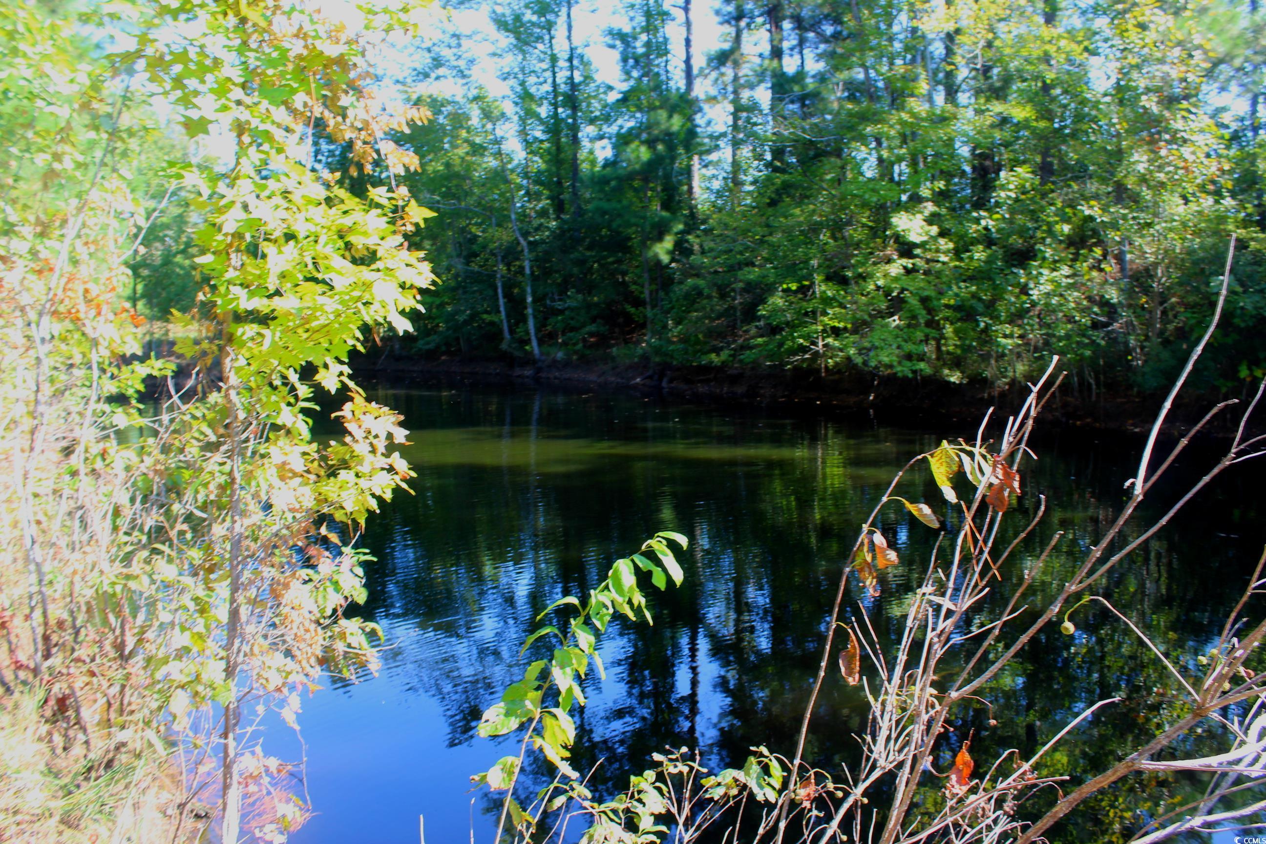 1-tbd Dew Rd 1-tbd Dew Road Marion, SC 29571 - Photo 6 of 29 Water view