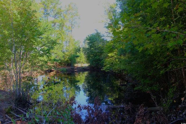 $195,000 | 1-tbd Dew Rd 1-tbd Dew Road, Marion, SC 29571