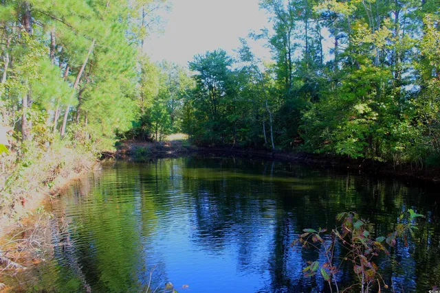 $195,000 | 1-tbd Dew Rd 1-tbd Dew Road, Marion, SC 29571