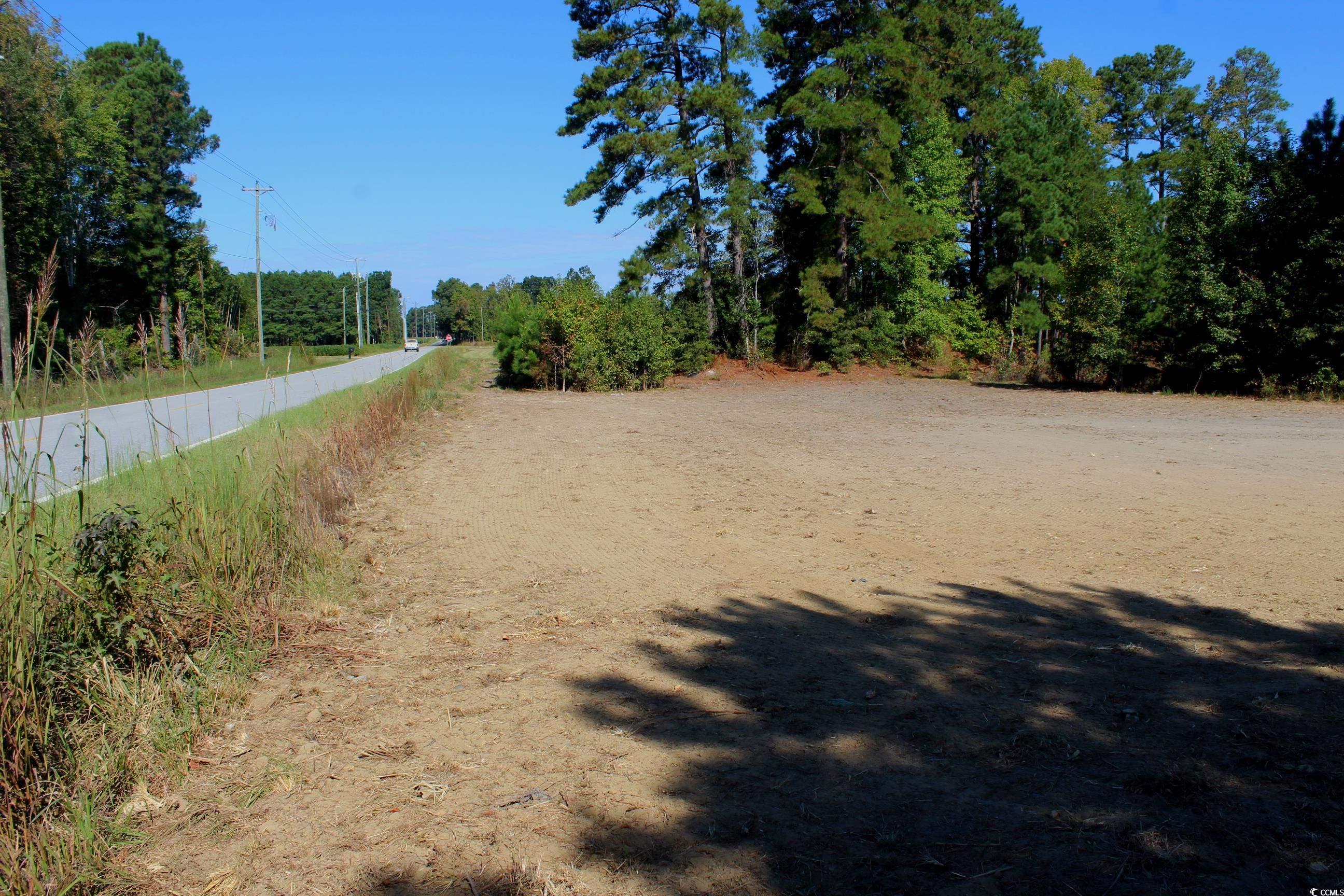 1-tbd Dew Rd 1-tbd Dew Road Marion, SC 29571 - Photo 9 of 29 View of dirt / gravel road