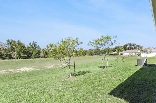 a backyard of a house with lots of green space