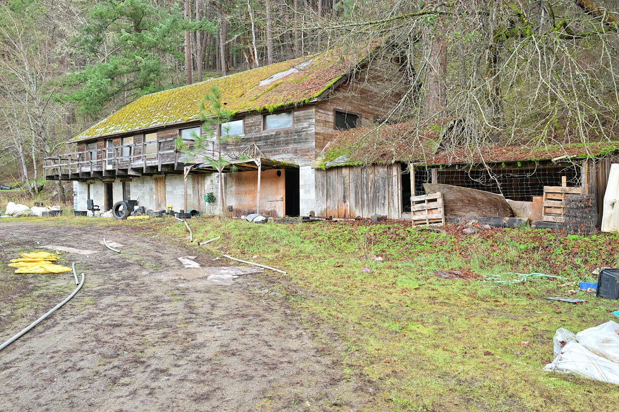 9400 Little Applegate Road Jacksonville, OR 97530 - Photo 12 of 22 11