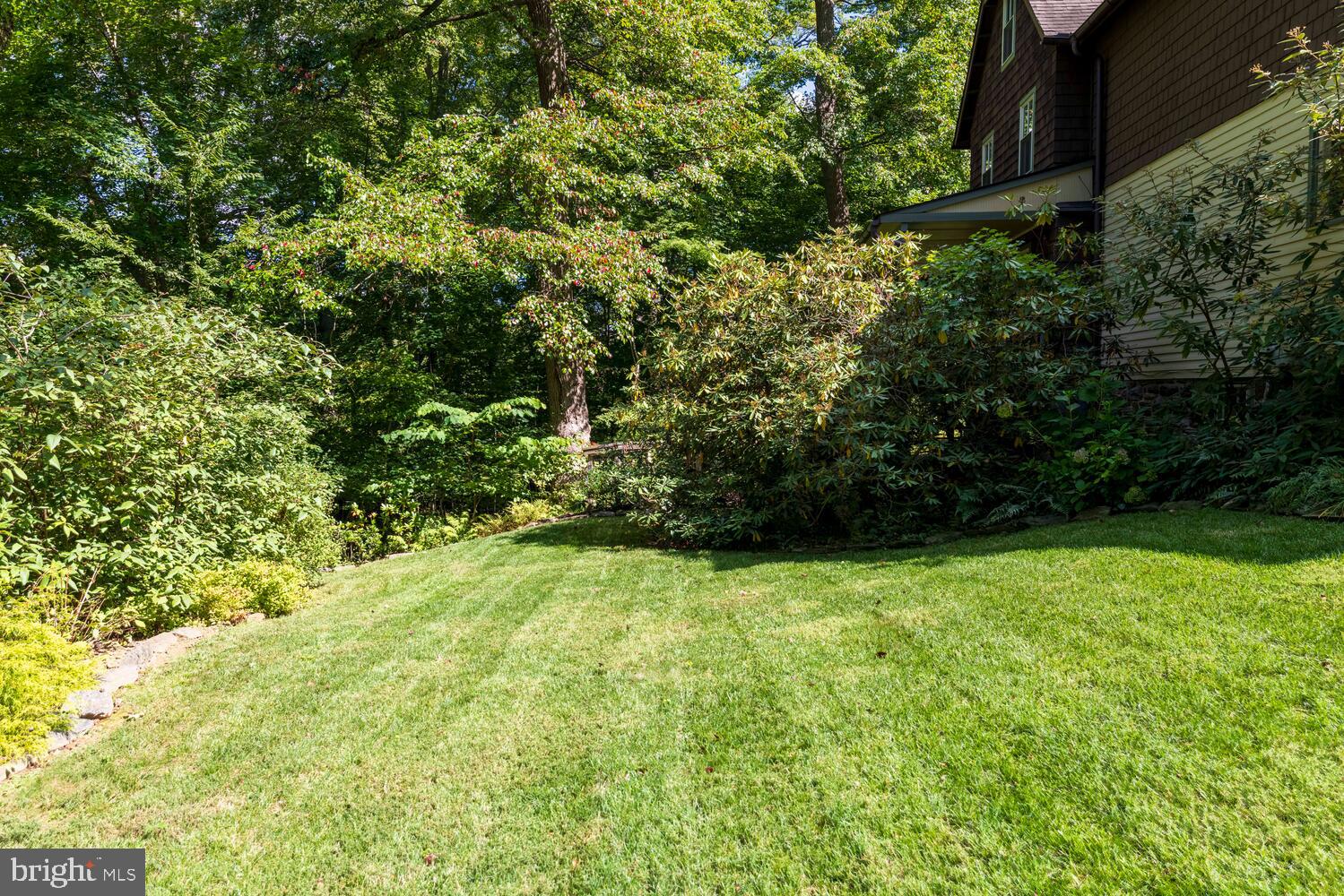 7 Walt Lane Wyncote, PA 19095 - Photo 43 of 44 a view of a yard with a tree