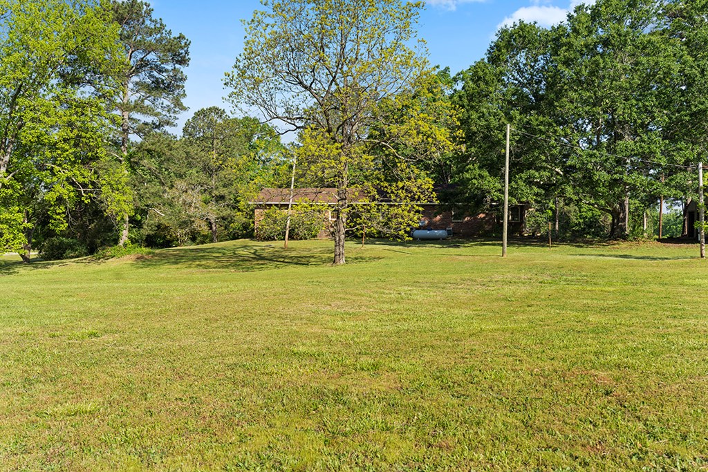 6415 Indian Mound Road Waterloo, SC 29384 - Photo 5 of 18