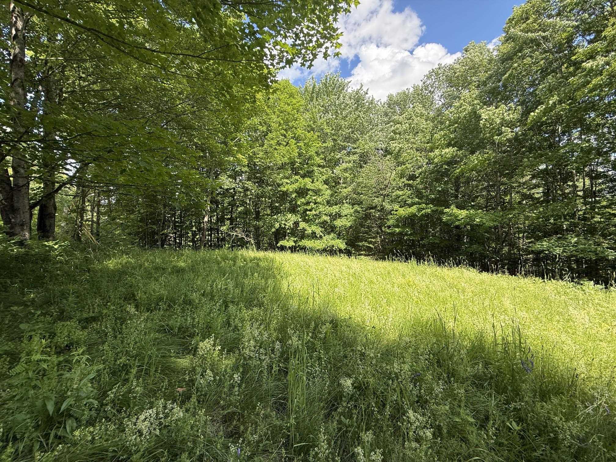 On Daniels Farm Road Waterford, VT 05819 - Photo 5 of 17