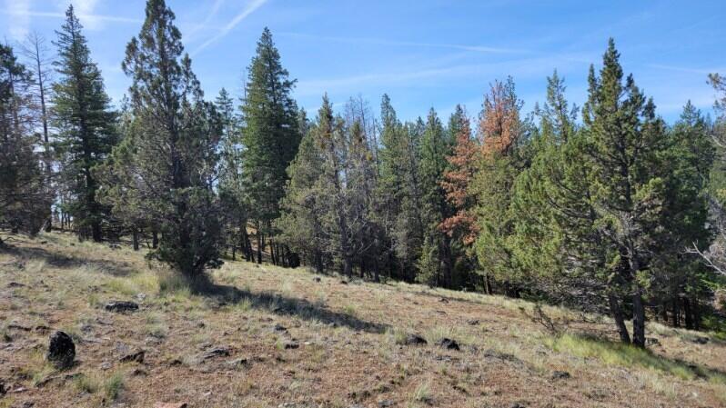 1315 Lofton Creek Road Prineville, OR 97754 - Photo 36 of 61 image000004 (2)