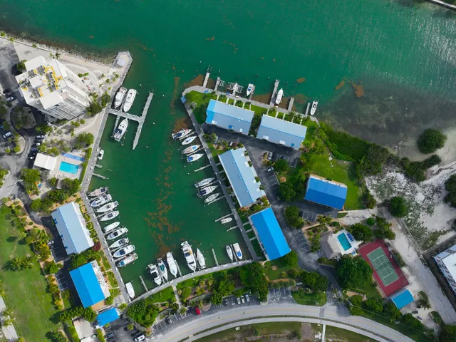 an aerial view of a house yard swimming pool and outdoor seating