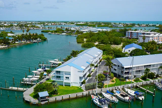 an aerial view of a house with a garden and lake view