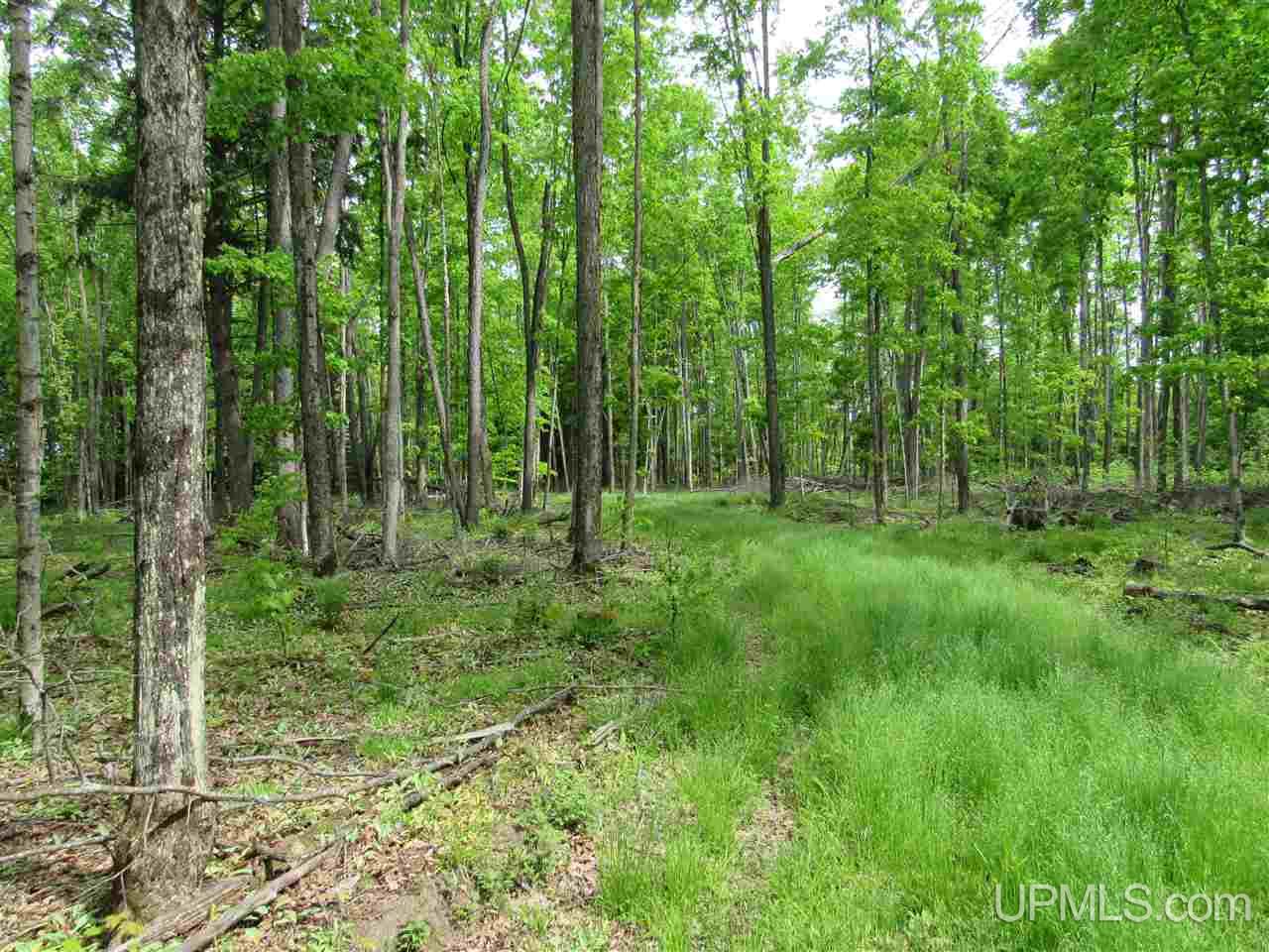 Tbd Co Rd 442, Unit 4 Rapid River, MI 49878 - Photo 2 of 10