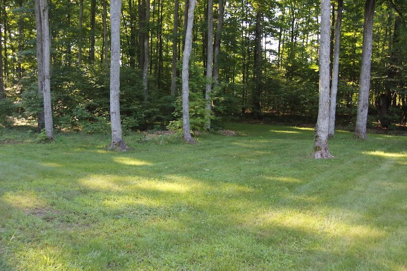 16347 Aletha Road Interlochen, MI 49643 - Photo 22 of 23 1878050-22.JPG