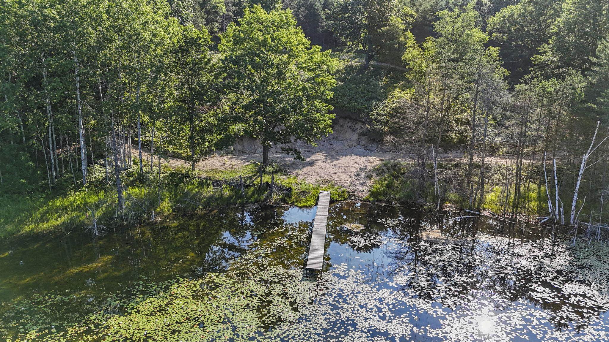 16963-parcel C Gray Heirs Road Lake Ann, MI 49650 - Photo 1 of 8