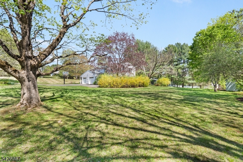 10 Babbitt Road Mendham, NJ 07945 - Photo 24 of 29