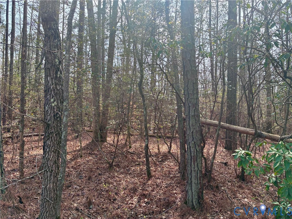 15000 Bradley Bridge Road Chesterfield, VA 23838 - Photo 1 of 9 a view of a forest with trees in the background