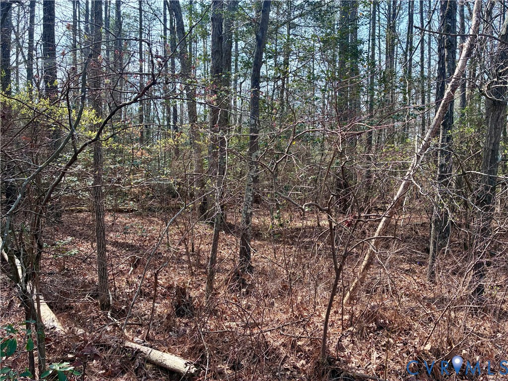 15000 Bradley Bridge Road Chesterfield, VA 23838 - Photo 2 of 9 a view of a yard