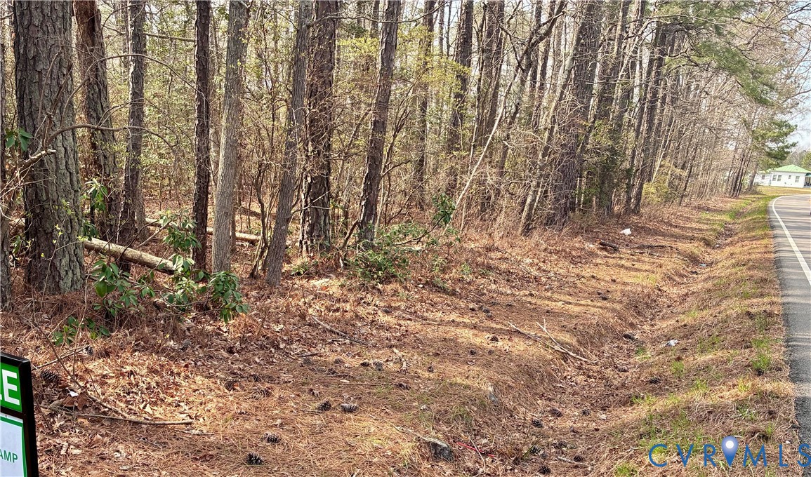 15000 Bradley Bridge Road Chesterfield, VA 23838 - Photo 7 of 9 a view of yard with trees