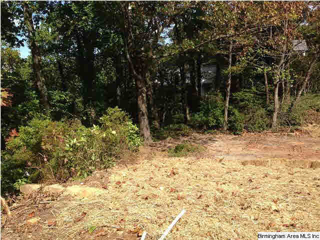 4830 Old Leeds Road, Unit LOT 59 Birmingham, AL 35213 - Photo 4 of 4