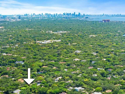 a bird view
